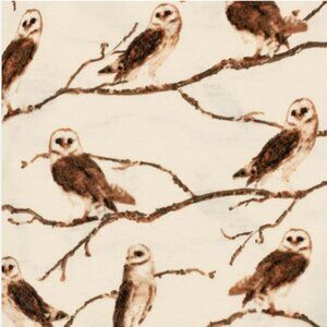 Live Show Unlisted Item